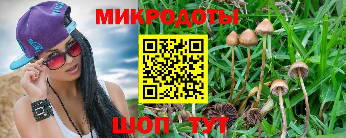 Минусинск  Галлюциногенные грибы мухоморы  Вход с VPN 